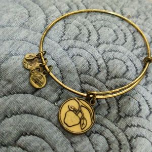 Alex and Ani Charm Bangle